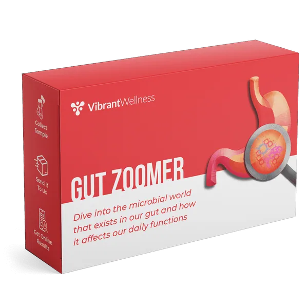 Gut Zoomer microbiome diagnostic test kit available through Holistique