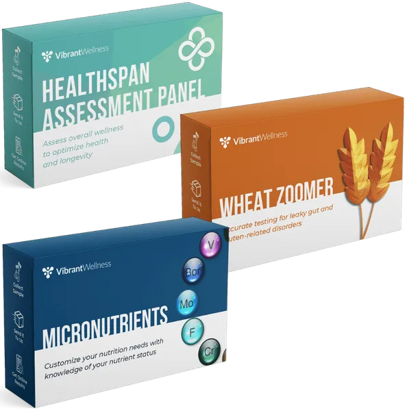 Vibrant Wellness diagnostic lab panels available through Holistique